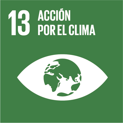 Series de tiempo Desmenuzar Agente Adoptar medidas urgentes para combatir el cambio climático y sus efectos –  Compromiso Social