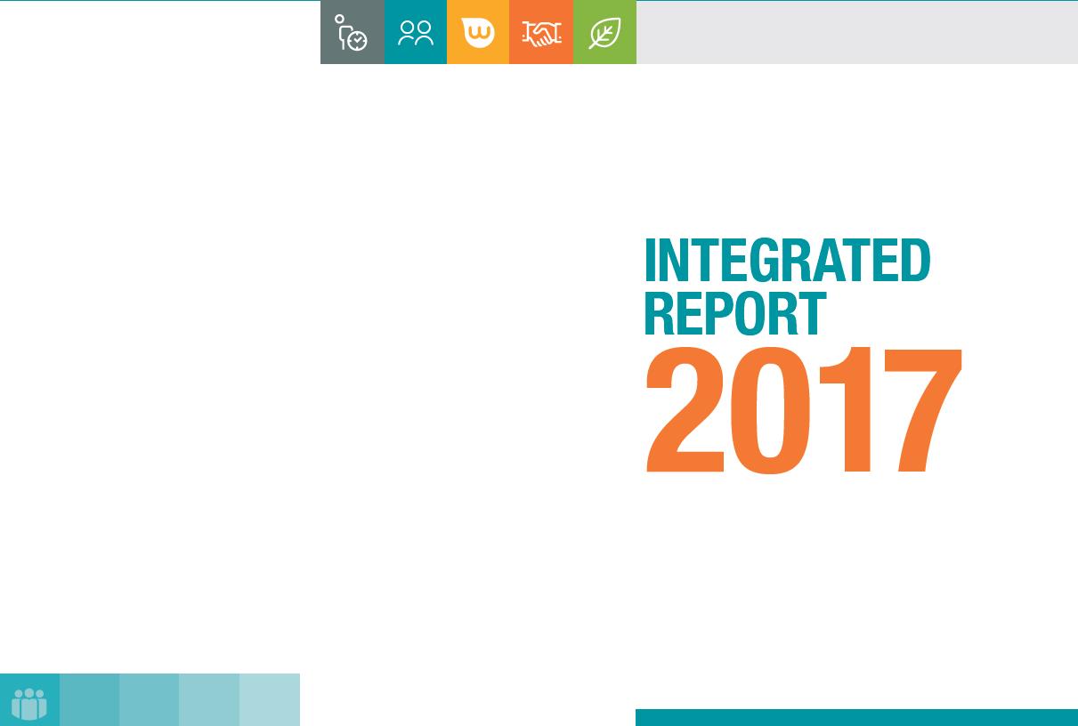 Integrated report 2017
